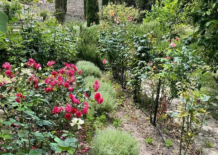 Bed & Breakfast Domaine Du Couvent De Saint Julien 4*