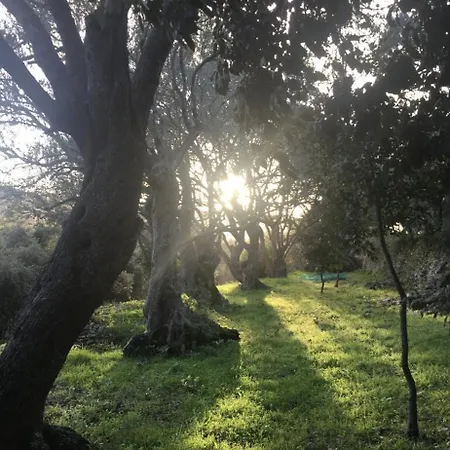 Bed & Breakfast Domaine Du Couvent De Saint Julien