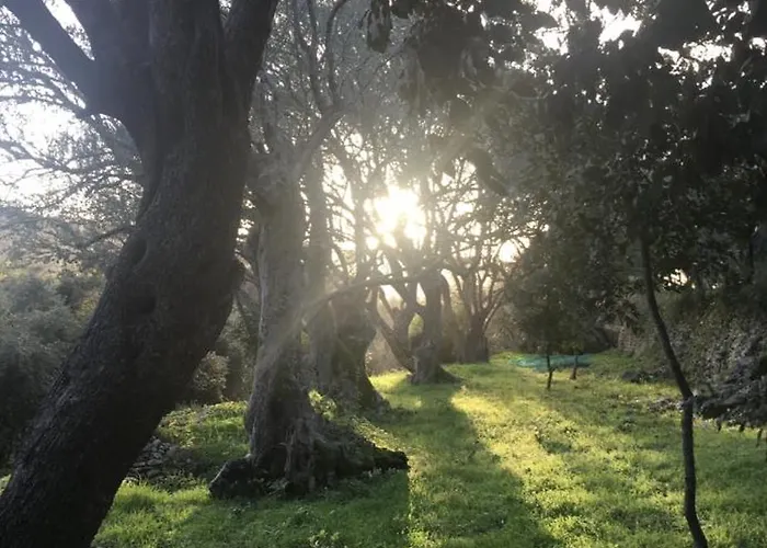 Oda ve Kahvaltı Domaine Du Couvent De Saint Julien